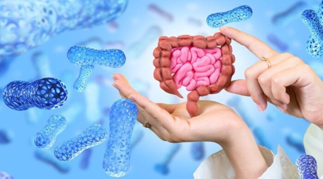 النزلة المعوية والإسهال