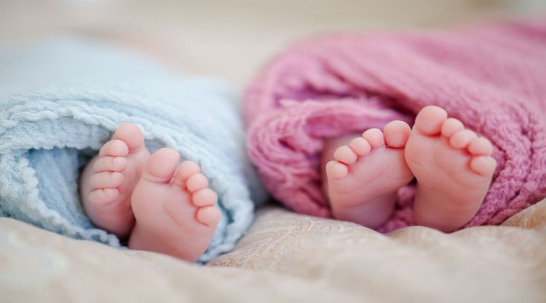 مأساة التوأم