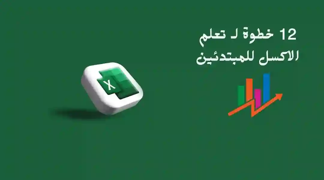 دليل إتقان تنظيم